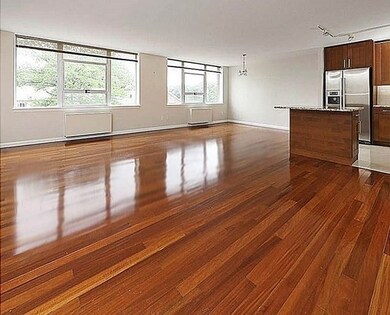 Hammond Park Condominiums unit 306, Chestnut Hill, MA 02467 - photo 3