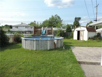 Yard. The back yard.