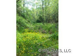 Natural Medow for Pond