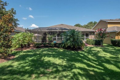 16007 Courtside View Dr, Lithia, FL 33547 - photo 5