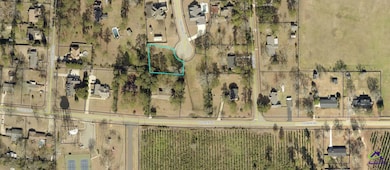 117 Constance Ct, Perry, GA 31069 - photo 7