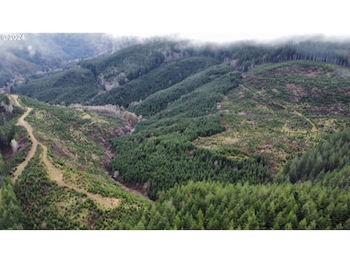 0 Logsden Rd, Logsden, OR 97357 - photo 2