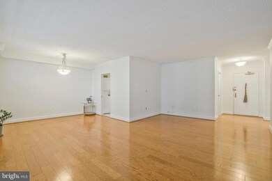 Skyline Plaza unit 1116N, Baileys Crossroads, VA 22041 - photo 2