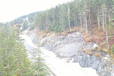 L8 B14 Shotgun Cove Rd, Whittier, AK 99693 - photo 3
