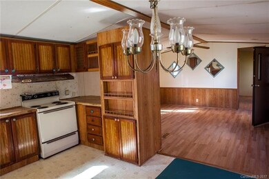 140 Green Acres Dr unit 19, Leicester, NC 28748 - photo 4