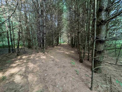 00 Woodsville Rd unit 11, Monroe, NH 03771 - photo 6