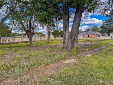 0 7th Ave W, Linden, AL 36748 - photo 2