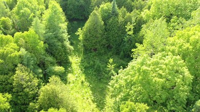 40 A King's Hwy, Beaver Island, MI 49782 - photo 3