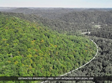 unlisted-address, Jacksonburg, WV 26377 - photo 4