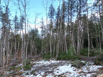 DJI_0391