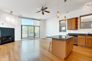 1655 N Campbell Ave unit 3, Chicago, IL 60647 - photo 2