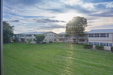 View from Patio