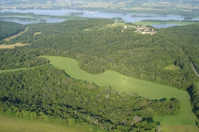 TBD W Chestnut Mountain Rd, Rice Township, IL 61041 - photo 2