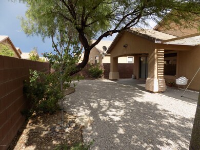 Back yard