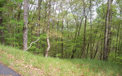 Additional View