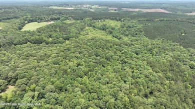 00 Lindsey Rd, Eclectic, AL 36024 - photo 3