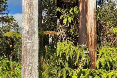 0 Mokuna St unit 717036, Volcano, HI 96785 - photo 4