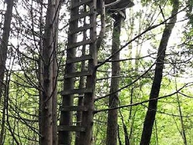 N6235 Anderson Rd, Porterfield, WI 54159 - photo 3