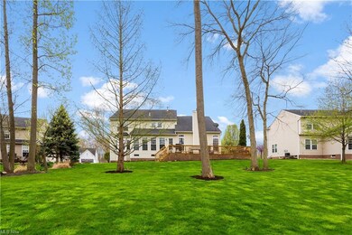 Expansive backyard