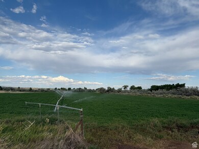 View of grassy yard with a view of countryside
