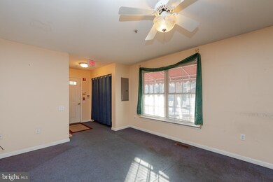 14 Proctor Ave, Glen Burnie, MD 21061 - photo 7