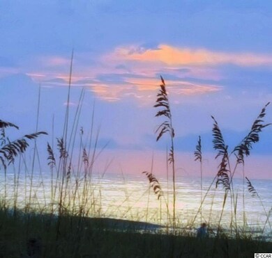 224 Old Dunn Ln, Conway, SC 29526 - photo 6