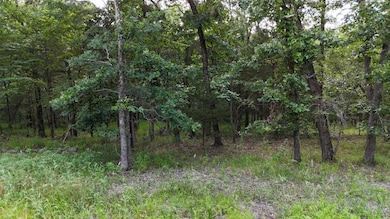 000 Bluebird Dr, Emerald Beach, MO 65658 - photo 2