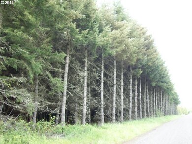 0 Savage Rd unit 13490957, Sheridan, OR 97378 - photo 2