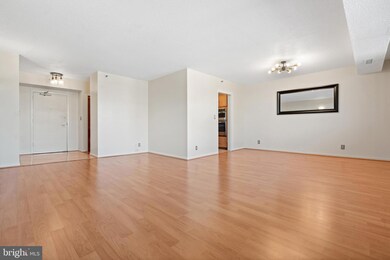 5501 Seminary Rd unit 2314S, Baileys Crossroads, VA 22041 - photo 4