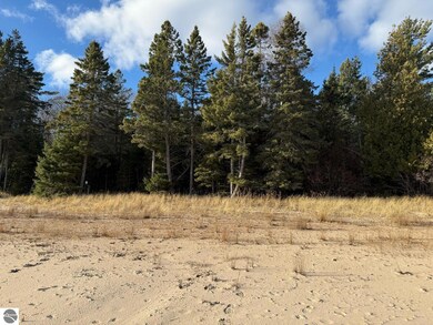 0 Carnegie Trail unit 26, Engadine, MI 49827 - photo 6