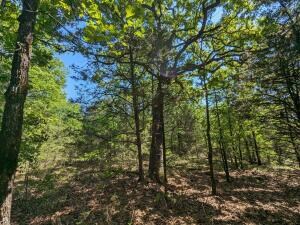 TBD 7A Spring Creek Trail, Cecil, AR 72930 - photo 4