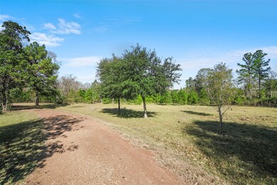 22111 Roberts Cemetery Rd, Hockley, TX 77447 - photo 2