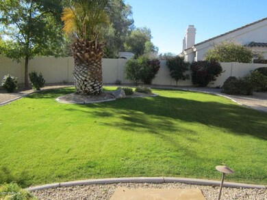 Large Grass Yard in the Summer