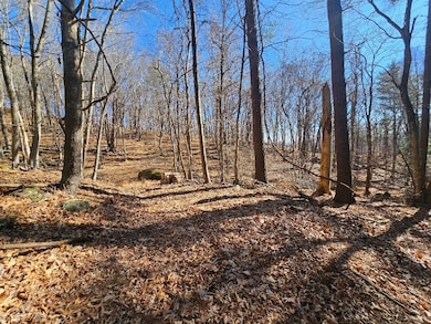 Lot#6 Fannies Ln, Fries, VA 24330 - photo 3