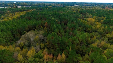 00 Hwy 12 W, Kosciusko, MS 39090 - photo 3