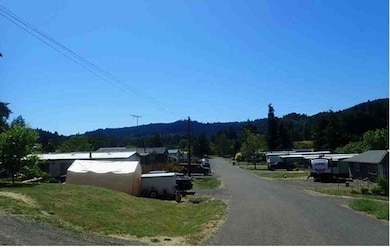 703 Main St, Yoncalla, OR 97499 - photo 3