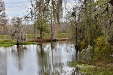 330 Jones River Rd, Camden, AL 36726 - photo 2