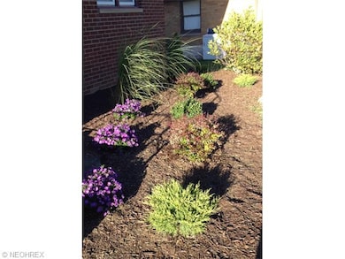 Nicely Landscaped