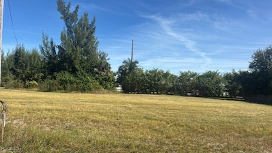 View of grassy yard