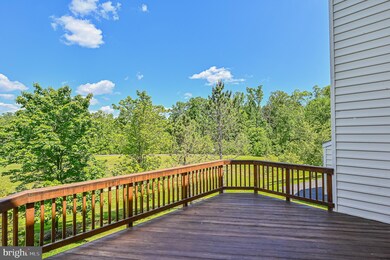 4703 Cochran Place, Centreville, VA 20120 - photo 6