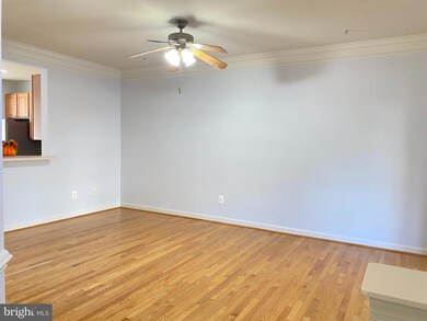 12042 Chestnut Glen Rd, Clarksburg, MD 20871 - photo 5