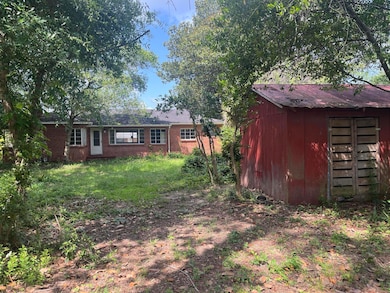 pearl back yard