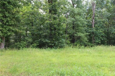 1452 Le Chesnay Dr, Centerton, AR 72719 - photo 4