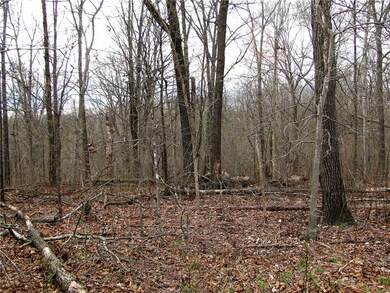 0 Leland Ln unit 1076820, Bella Vista, AR 72715 - photo 2