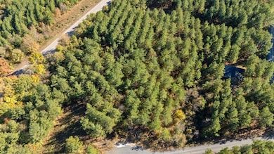 14 Gopher Wood Trail, Broken Bow, OK 74728 - photo 5