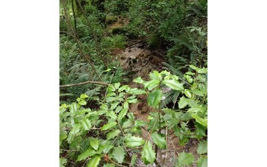 000 Big Creek Rd, Ellijay, GA 30540 - photo 5