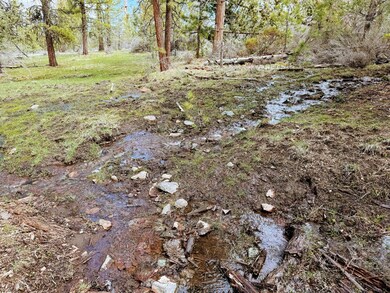 0 Yellowjacket Spring Rd unit 220202108, Beatty, OR 97621 - photo 7