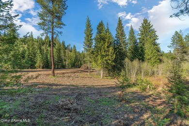 Wide Open Spaces