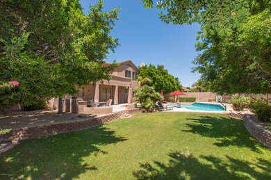 45 Back Yard