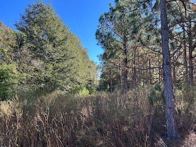 10 +-ac,Lot 1PL Cty Rd 140 Cty Rd 141, Headland, AL 36345 - photo 5
